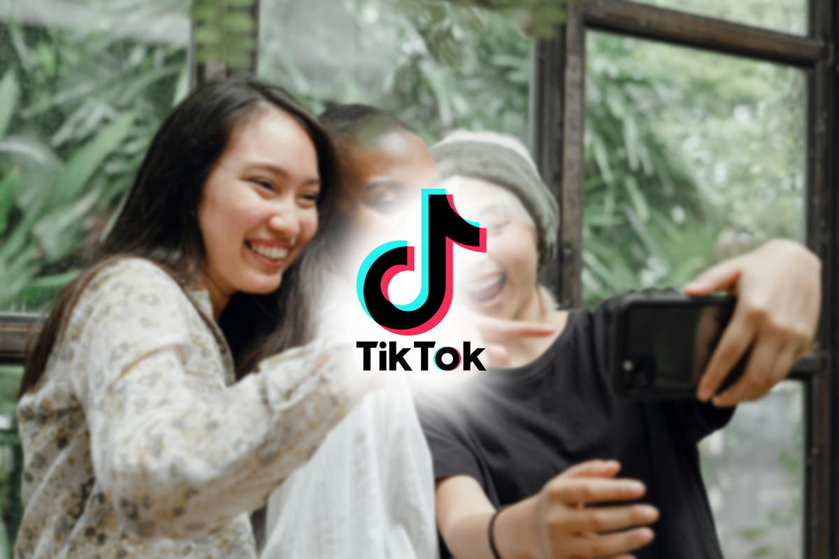 Todos os seus vídeos favoritos organizados no TikTok