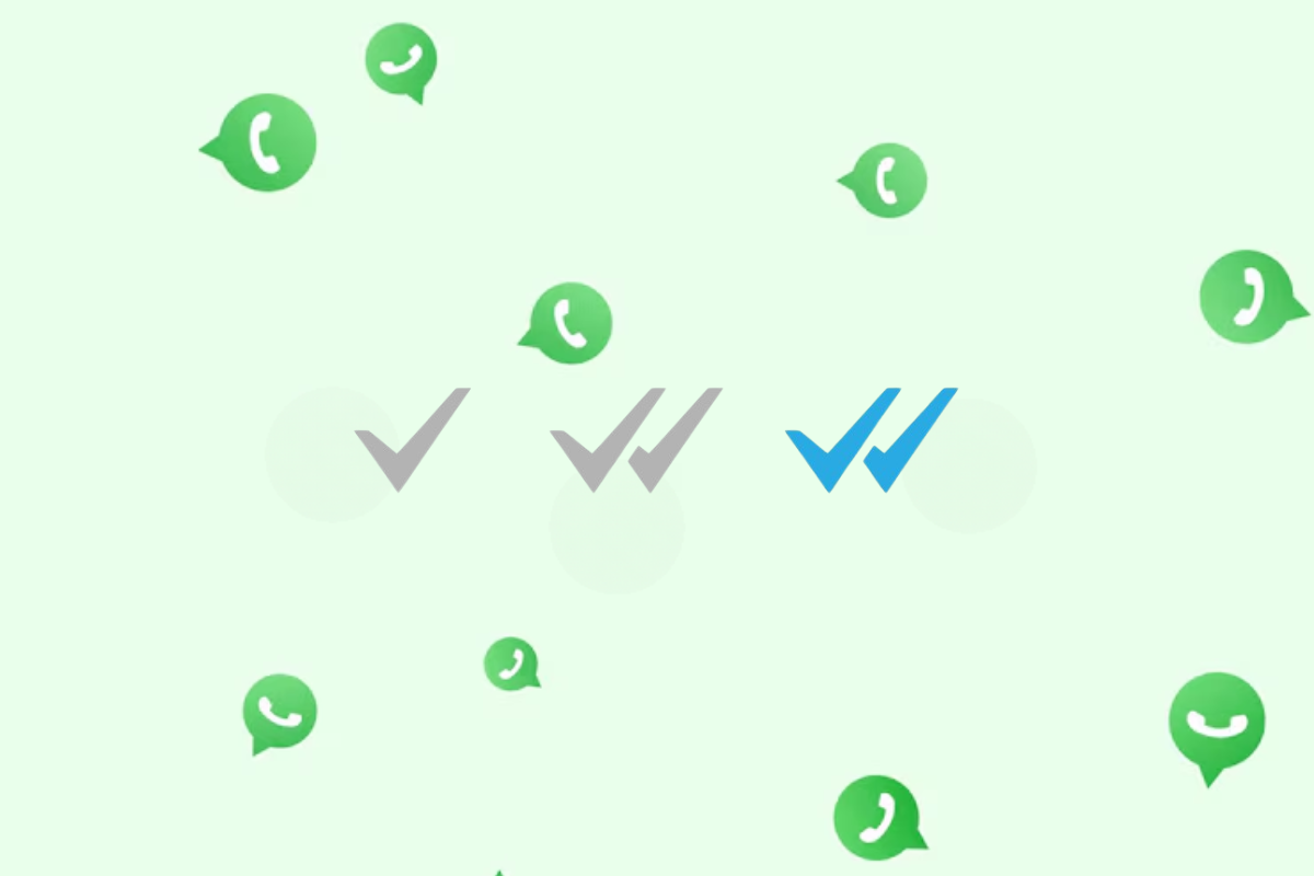 WhatsApp tildes
